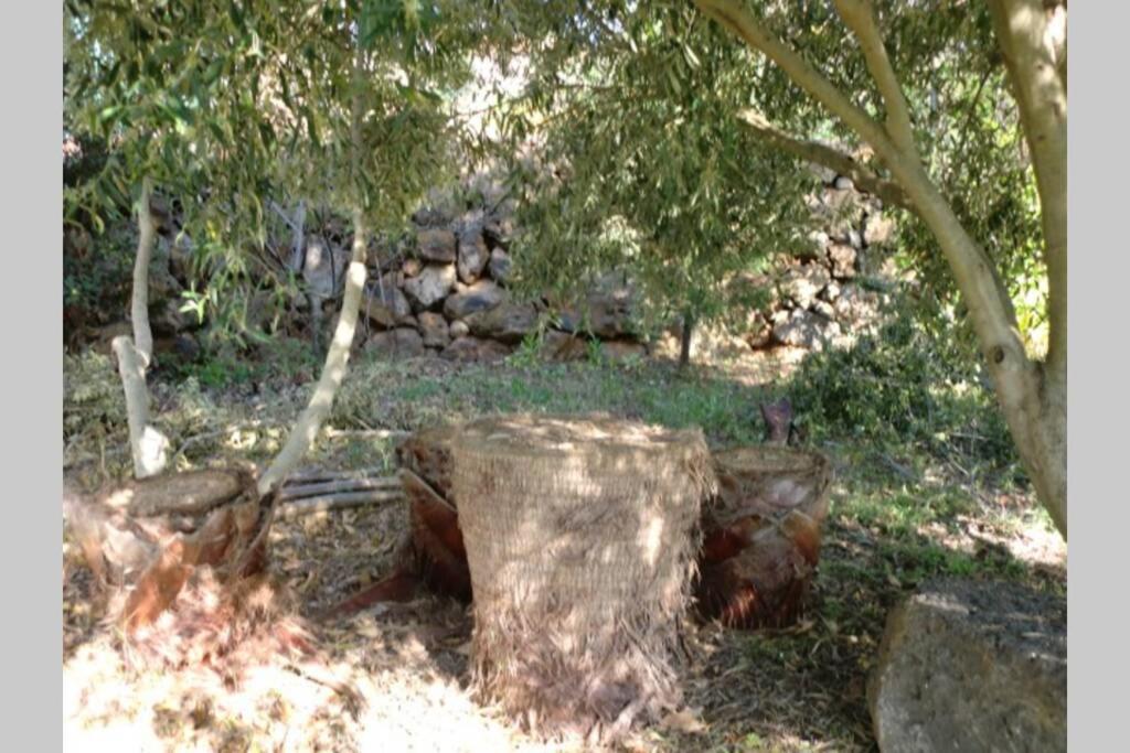 Casa Corea 2 Πούντα Γκόρντα Εξωτερικό φωτογραφία
