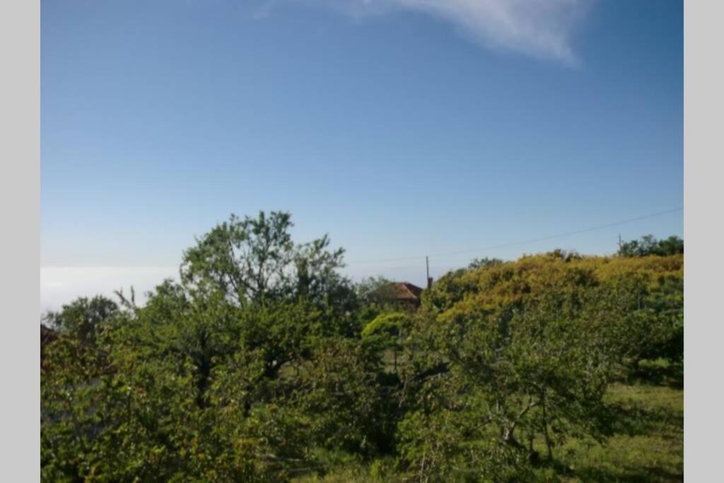 Casa Corea 2 Πούντα Γκόρντα Εξωτερικό φωτογραφία